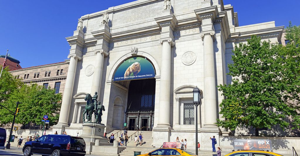 Museum48 - Hoboken Public Library